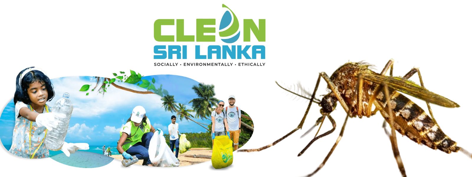 All Schools to Mark Mosquito Control Day Tomorrow